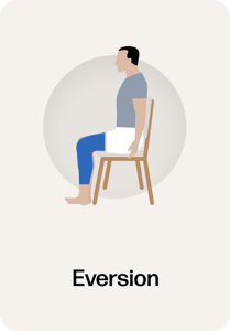 Training_Eversion