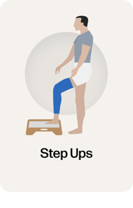 Training_StepUps